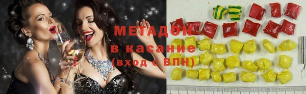 прущие грибы Медногорск