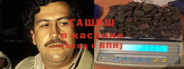 прущие грибы Медногорск