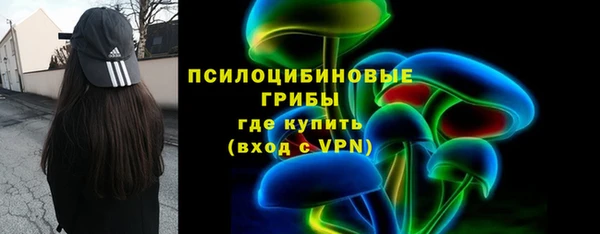 прущие грибы Медногорск