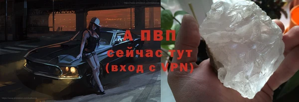 прущие грибы Медногорск