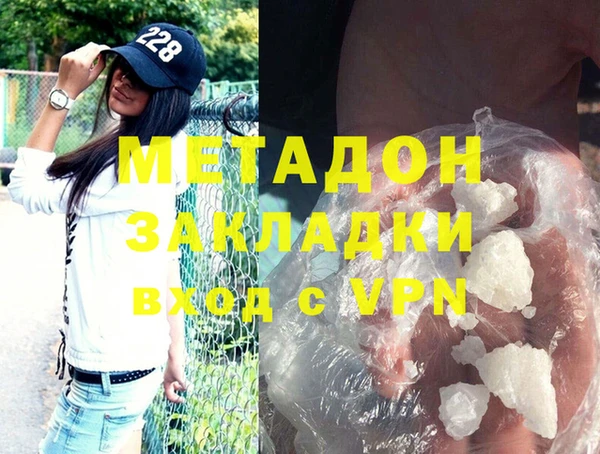 прущие грибы Медногорск