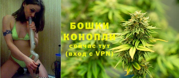 прущие грибы Медногорск
