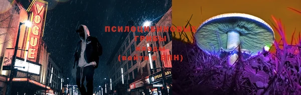 твердый Медвежьегорск